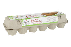 Nature's Promise Organic Cage Free Large Fresh Brown Eggs - 12 CT