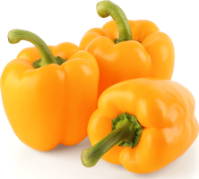 Перець Гордій жовтий