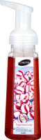 CareOne Foaming Hand Soap Peppermint Candy