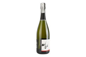 Шампанское 0.75л 12% белое сухое AOC Брют Premier Cru Pierre Trichet бут