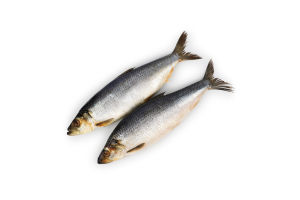 Оселедець пряного посолу охол. ваг