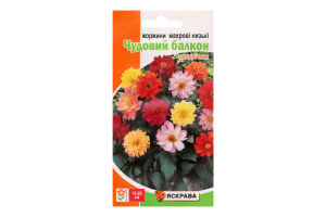 Насіння Квіти Жоржини махрові низькі Чудовий балкон 0,2-0,3г Яскрава