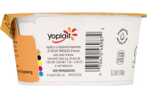 Yoplait Custard Yogurt Caramel