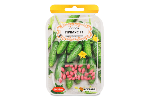 Насіння Огірок Прімус F1 дражоване 3г Яскрава