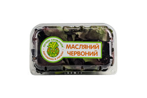 Салат Пучок-Свіжачок Масляний червоний