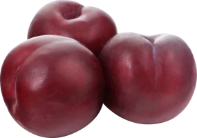 Слива красная отборная