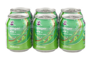 Ahold Ginger Ale Soda - 6 CT