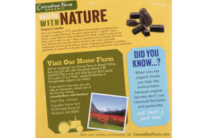 Cascadian Farm Organic Soft Baked Squares Oats & Chocolate