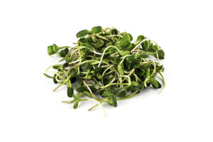 Мікрозелень Green Vitamin Соняшник зріз