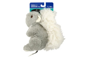 Champion Breed Puppy Squirrel Small To Medium Dogs