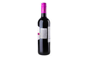 Вино 0.75л 13% красное сухое Merlot Brise de France бут