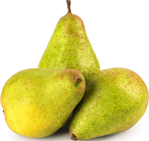 Груша Ксенія