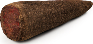 Буряк Crapaudine