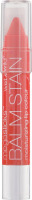 Wet n Wild Megaslicks Balm Stain Lip Colour 158A See If I Carrot!