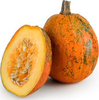 Гарбуз Декоративний особливий