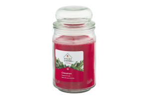Smart Living Holiday Fragranced Candle Cinnamon