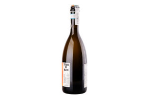 Вино игристое 0.75л 10.5% белое брют Prosecco Frizzante Terre dei Buth бут
