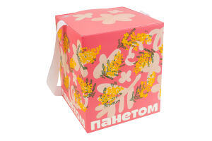 Панетом з апельсиновою карамеллю ТОВ Арахісова паста Том к/у 650г