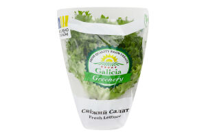 Салат свіжий Фрізе Galicia Greenery м/у 1шт