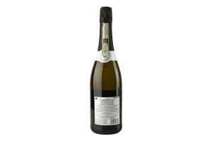 Вино ігр Vini dei Cardinali Prosecco DOCG ExDr біл