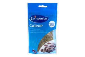 Companion Catnip