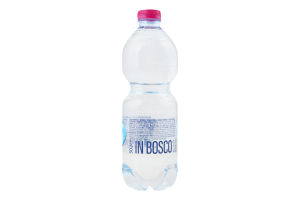 Вода мінеральна Bosco 0,5л ПЕТ б/газ. (Італія)