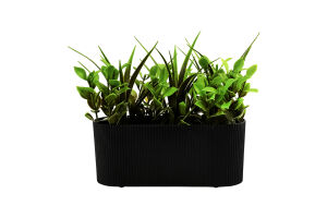 Вазон декоративний з композицією рослин горизонтальний 24*18*15см в асортименті BMG