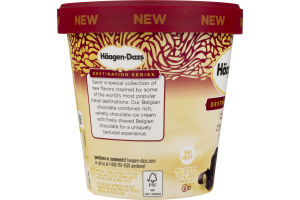 Haagen-Dazs Ice Cream Belgian Chocolate