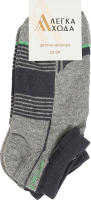 Шкарпетки дитячі Легка хода №9399 22-24 сірий меланж