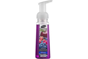 CareOne Antibacterial Foaming Hand Soap Apple Berry