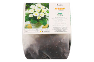 Бульба Глоксінія Мон-Блан Яскрава