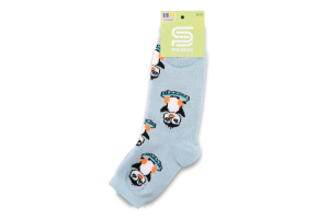 Шкарпетки дитячі Преміум махра класичні р.20-22 Premier Socks
