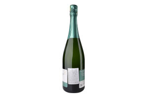 Вино игристое 0.75л 12% белое брют Шардоне Terre Bentivoglio бут