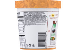 So Delicious Dairy Free Cashew Milk Non-Dairy Frozen Dessert Creamy Chocolate