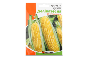 Насіння Кукуруза цукрова Делікатесна пакет гігант 20г Яскрава