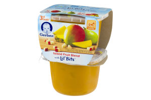 Gerber 3rd Foods Island Fruit Blend With Lil' Bits Crawler - 2 PK