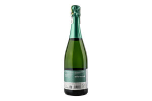 Вино игристое 0.75л 12% белое брют Chardonnay Terre Bentivoglio бут