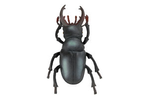 Іграшка Комаха в асортименті