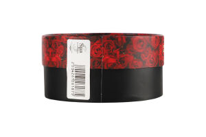 Патчі SPA Treatment iSHEET HAS Exo з екзосомами