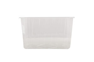 Лоток д/ягід 1л прозорий з отворами ЗРостай