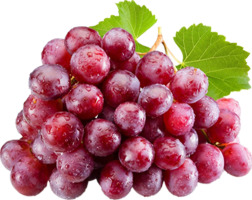 Виноград Рожевий ваговий