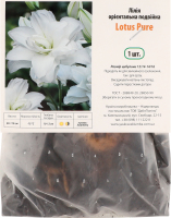 Цибулина Лілія Лотус Пур орієнтальна подвійна Яскрава