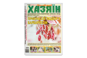 Газета Хозяин