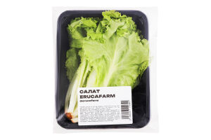 Салат Erucafarm
