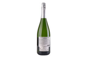Вино ігр Domaine des Nugues Cremant de Bоurg біле