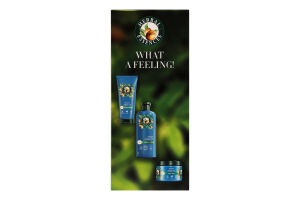 Набiр Argan Oil Шампунь 350мл+Бальзам-ополіскувач 250мл+Маска д/волосся 300мл Herbal Essences