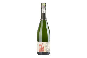 Шампанское 0.75л 12% белое полусухое Demi-Sec AOC Premier Cru Pierre Trichet бут