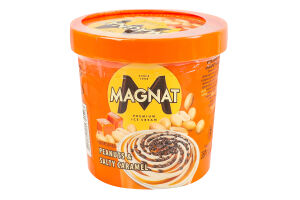 Мороженое Арахис-соленая карамель Magnat ст 350г