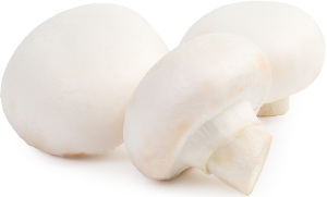 Гриби Печериці вагові