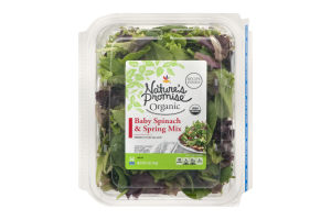 Nature's Promise Baby Spinach & Spring Mix